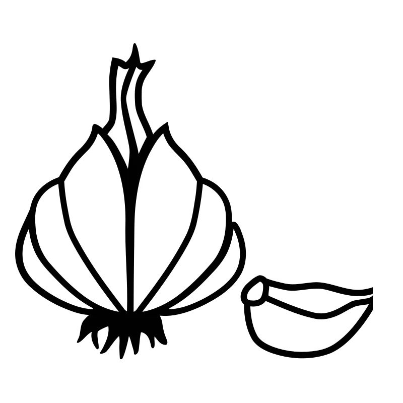 Garlic