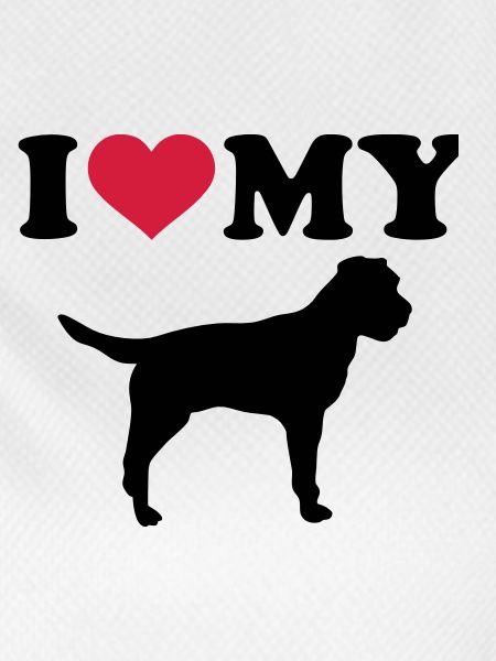 Border Terrier