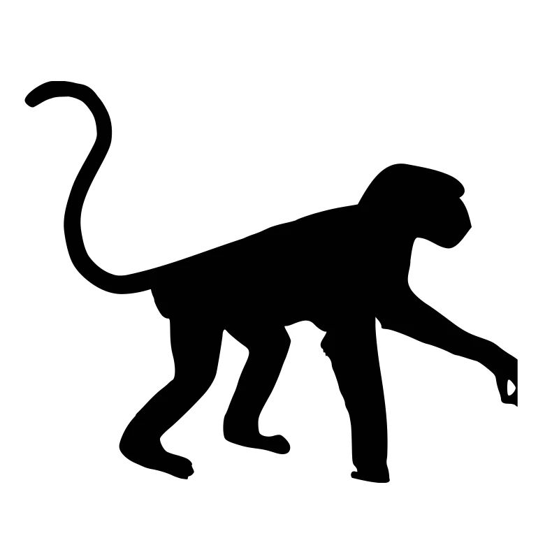 Monkey