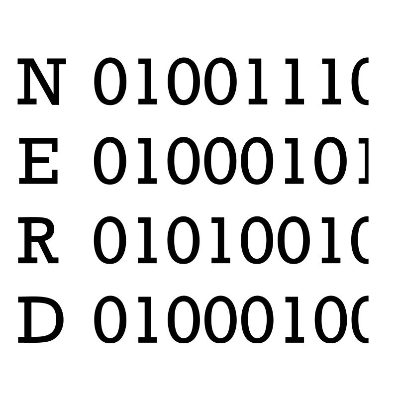 binary nerd