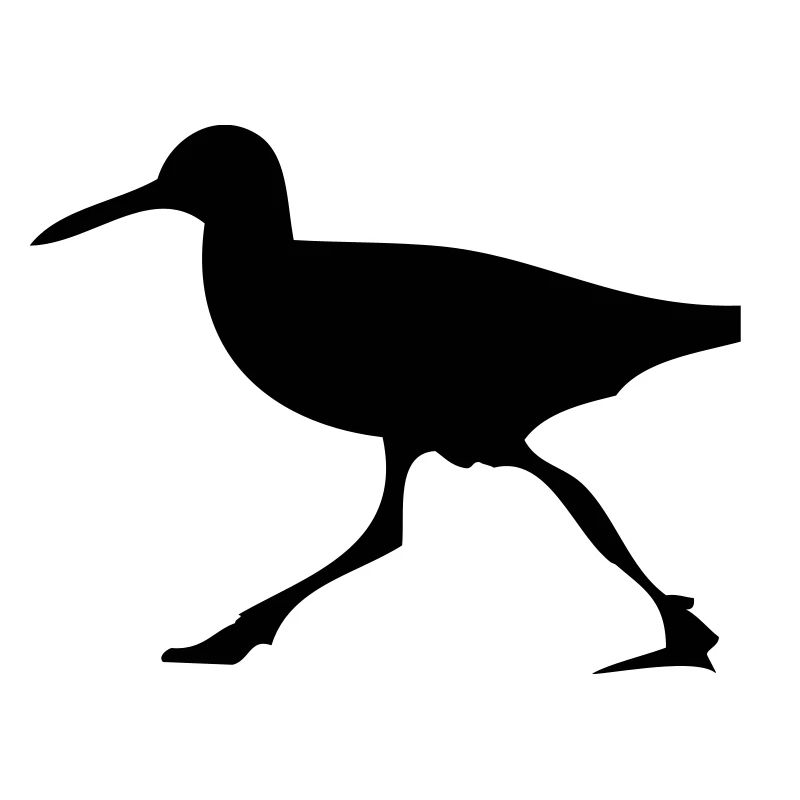 Exécution d'oiseau
