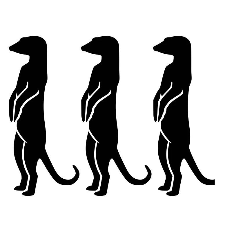 Suricate