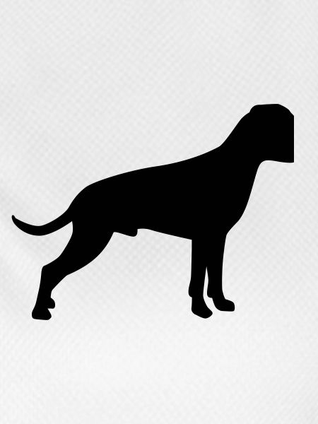 Boxer