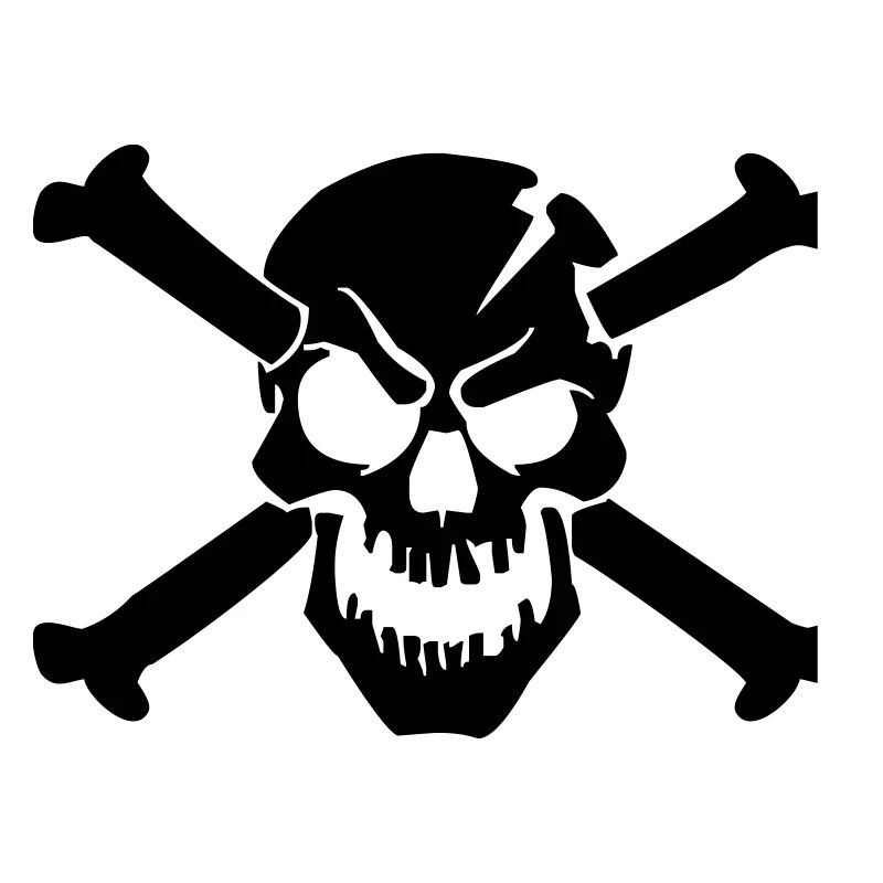 skull bone