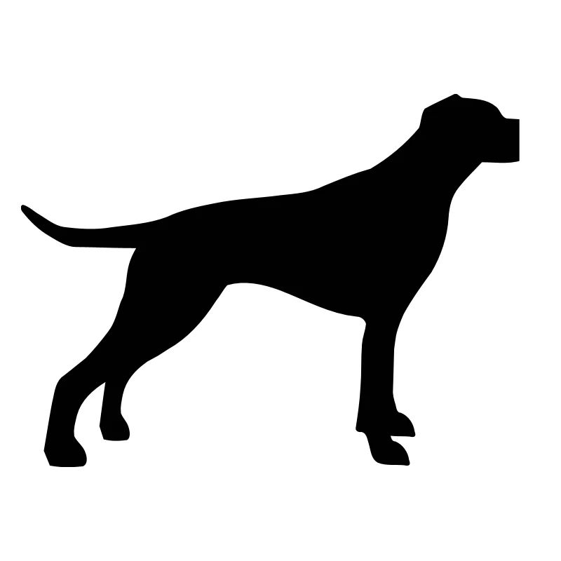 English Pointer