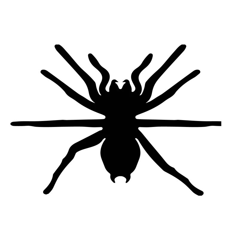 spider