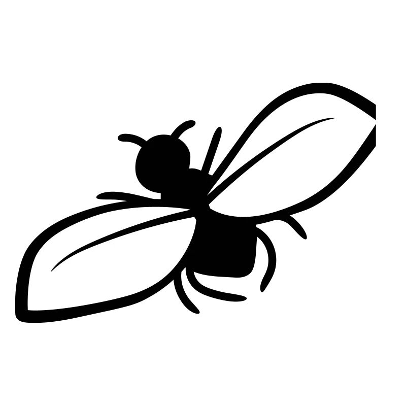 Conception De mouche ennuyeuse