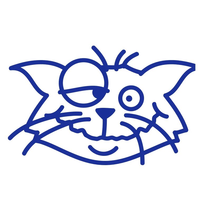Confused Cat Squints Funny Crazy Grimace
