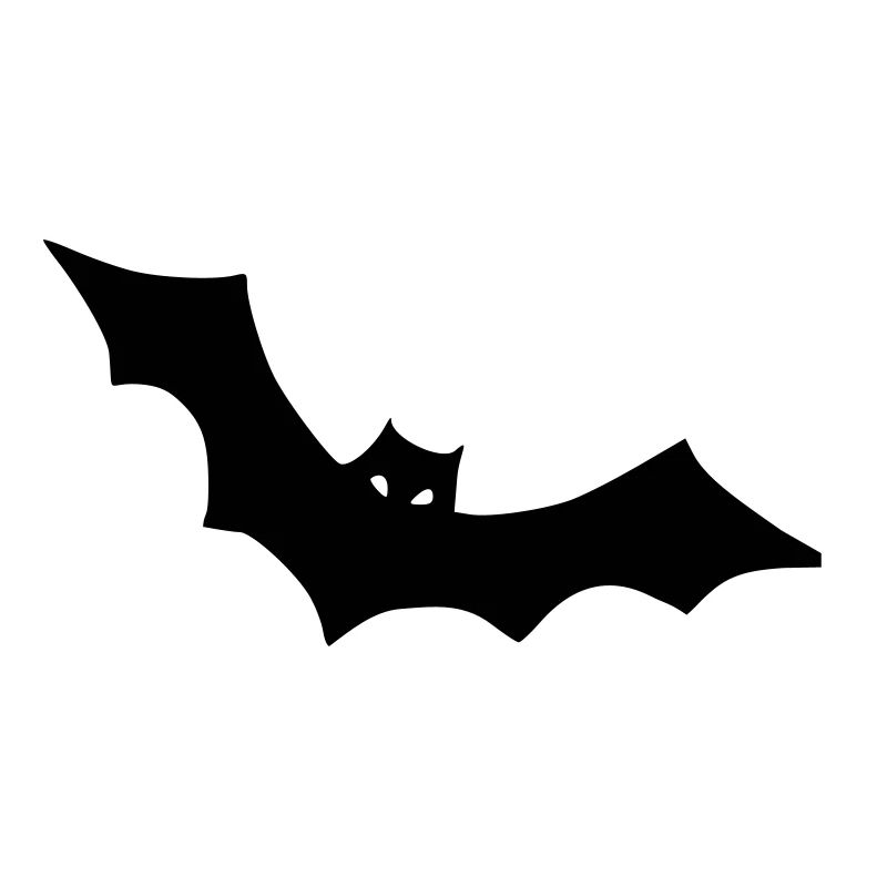 Fledermaus