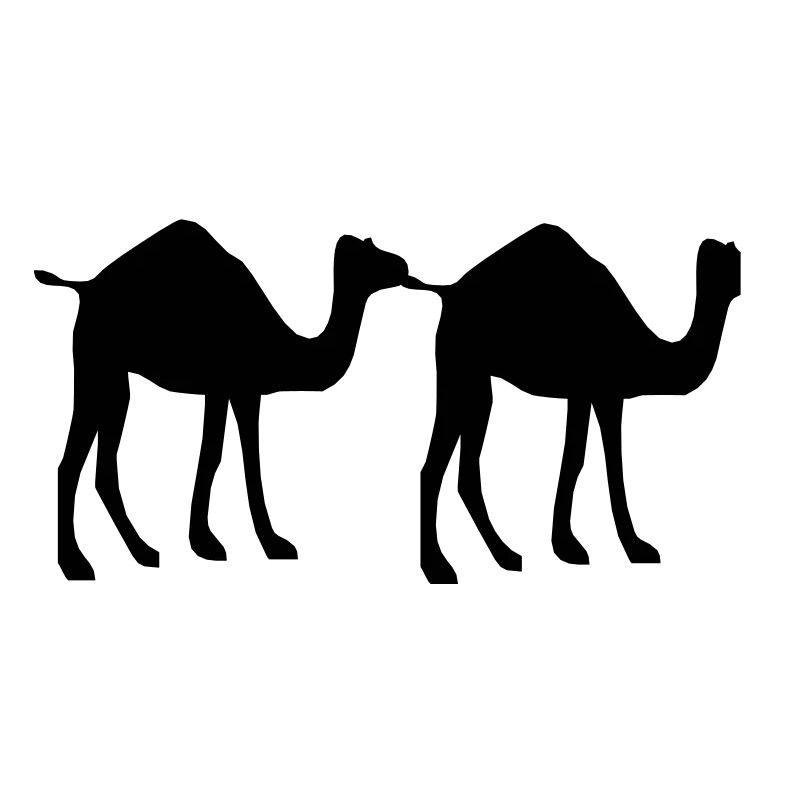 Camel