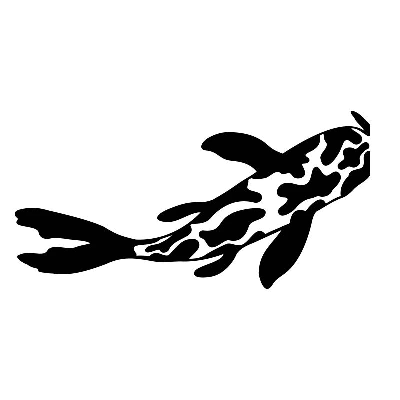 Cow Pattern Koi Fish Nishikigoi