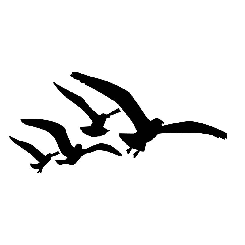 Seagull