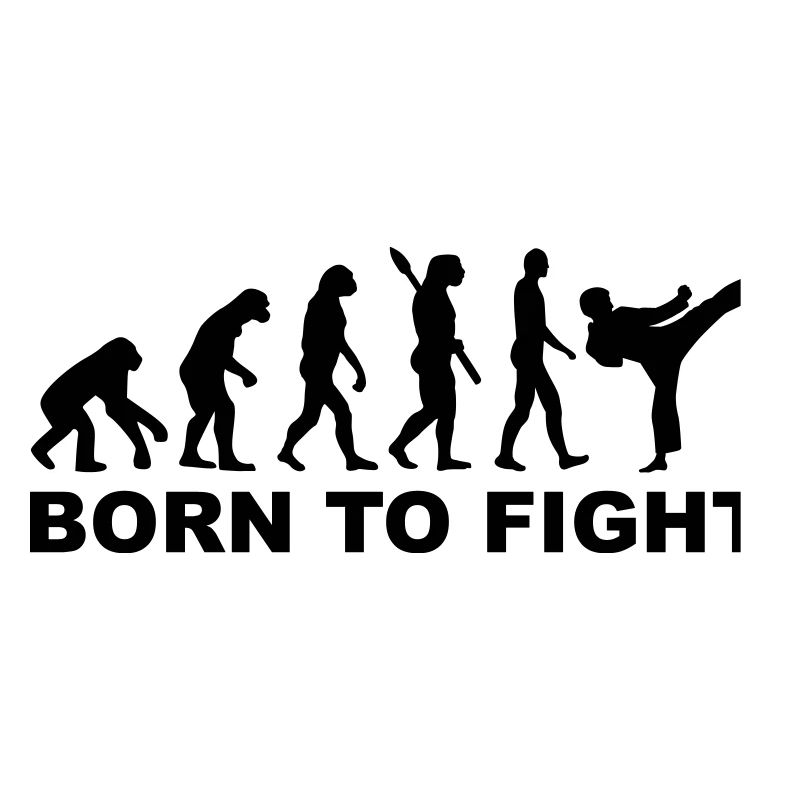 Evolution Karate