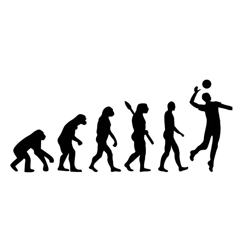 Evolution Volleyball