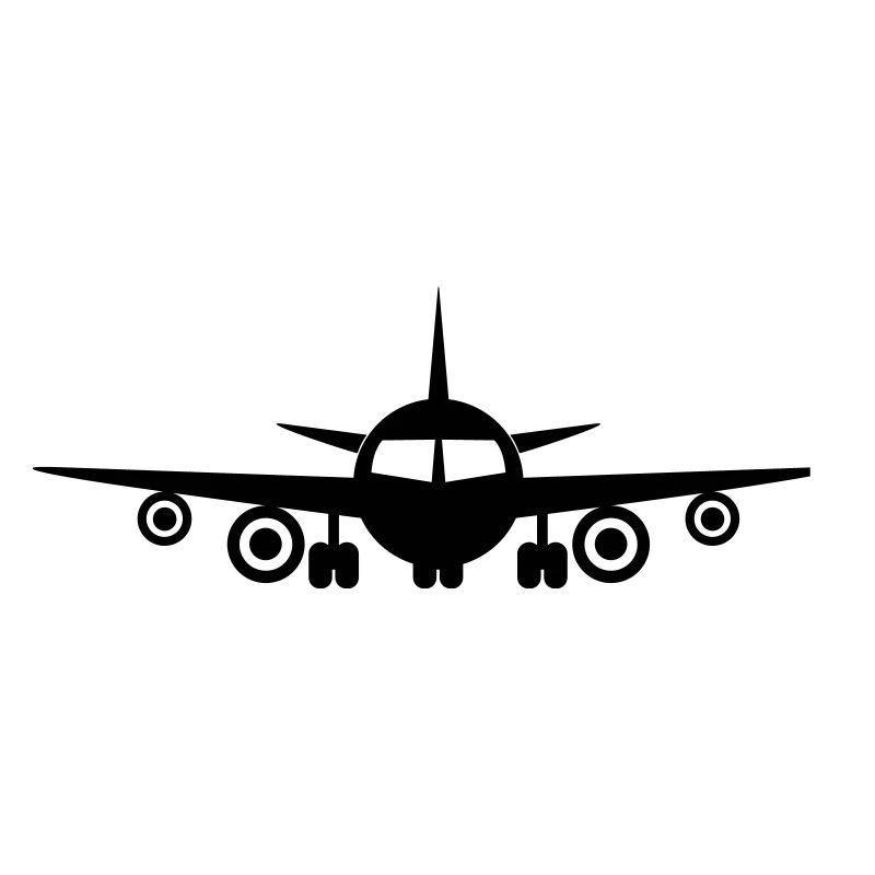 Fly a plane