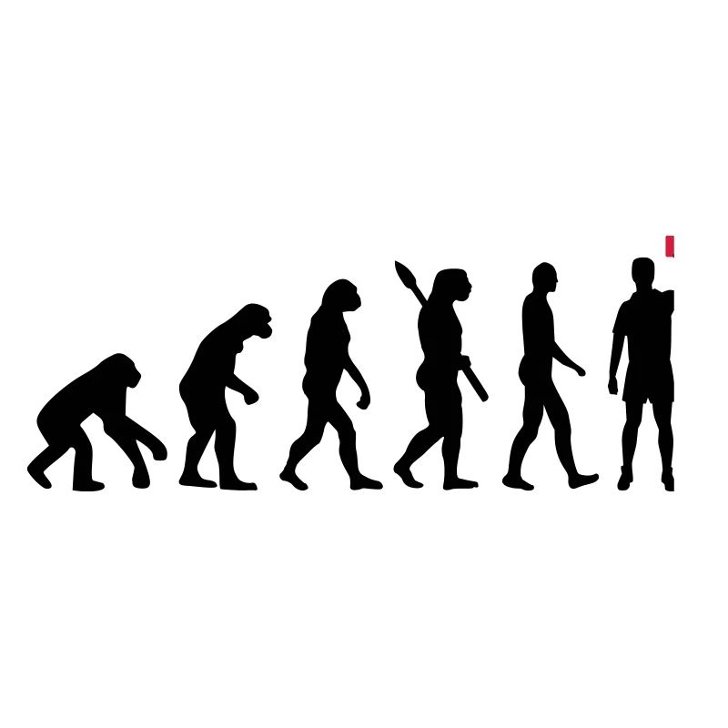 Évolution Arbitre
