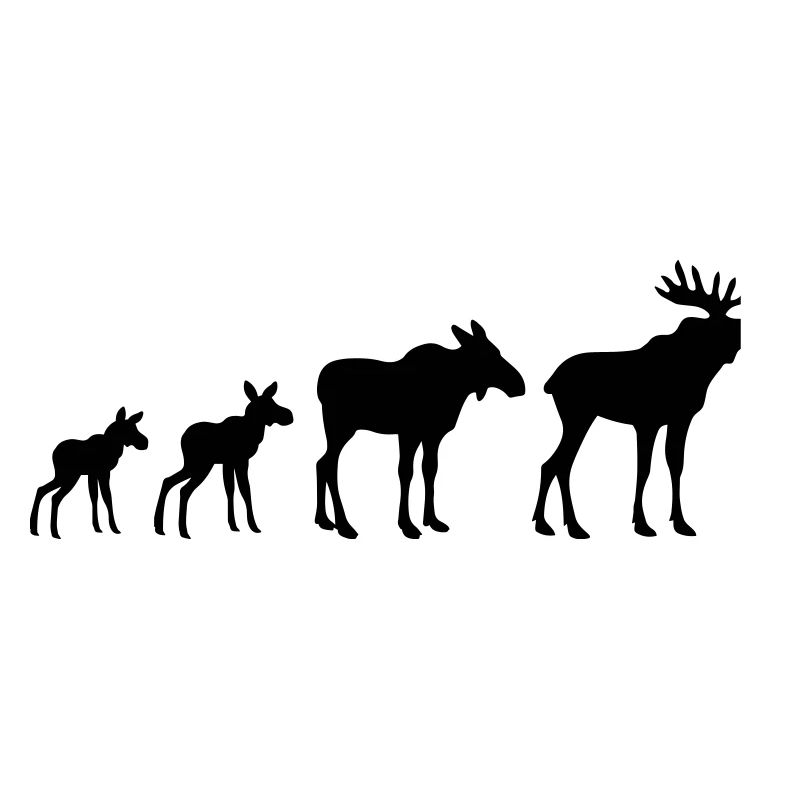 Elk Evolution