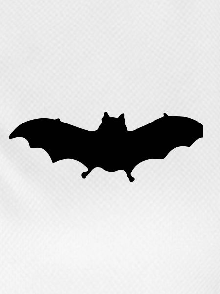 bat