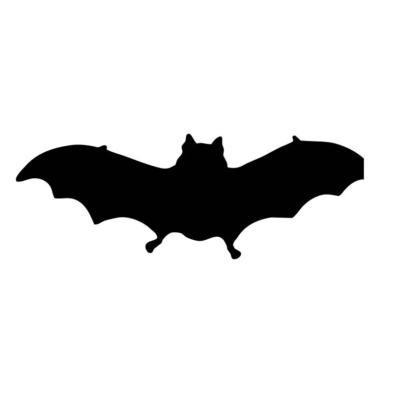 bat