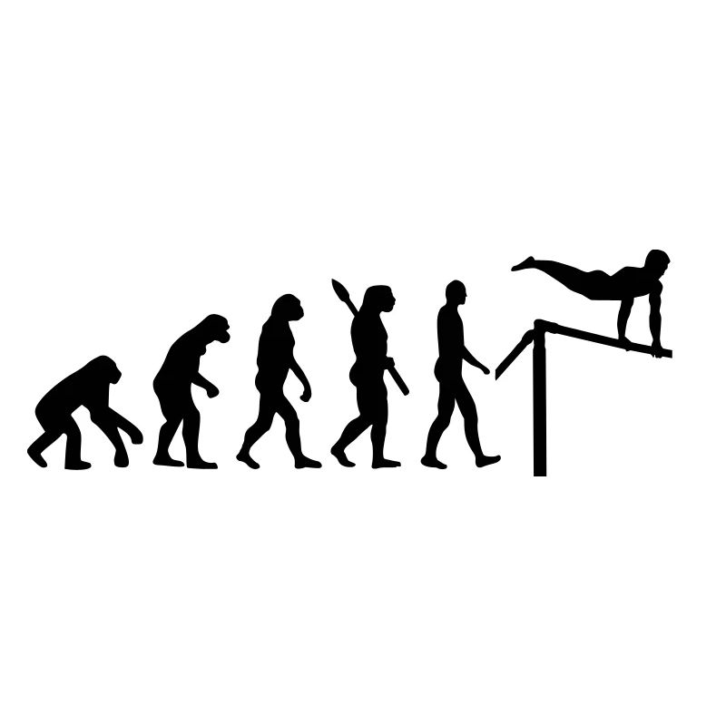 Évolution Gymnastique