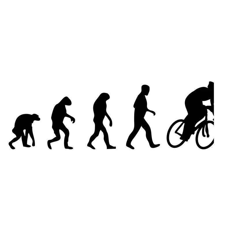 radsport evolution