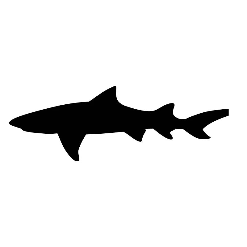 Requin