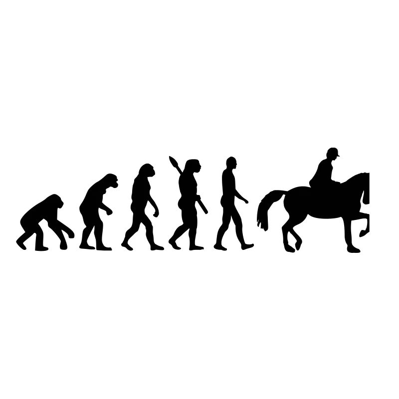 Évolution Cheval