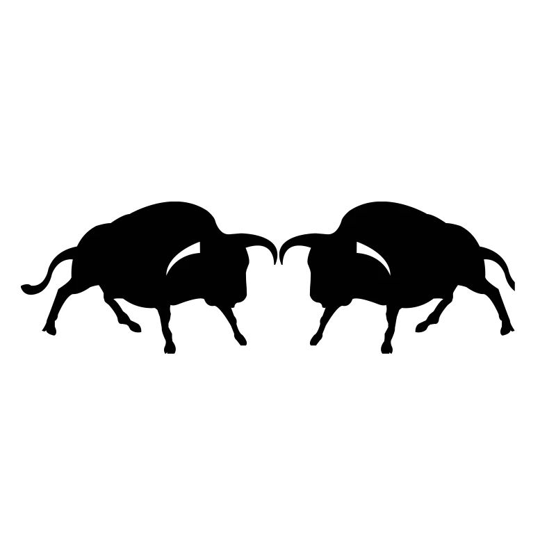 stier2