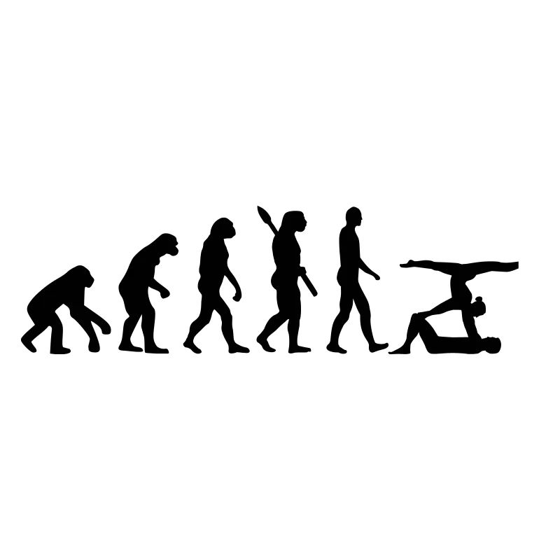 Evolution Acrobatics