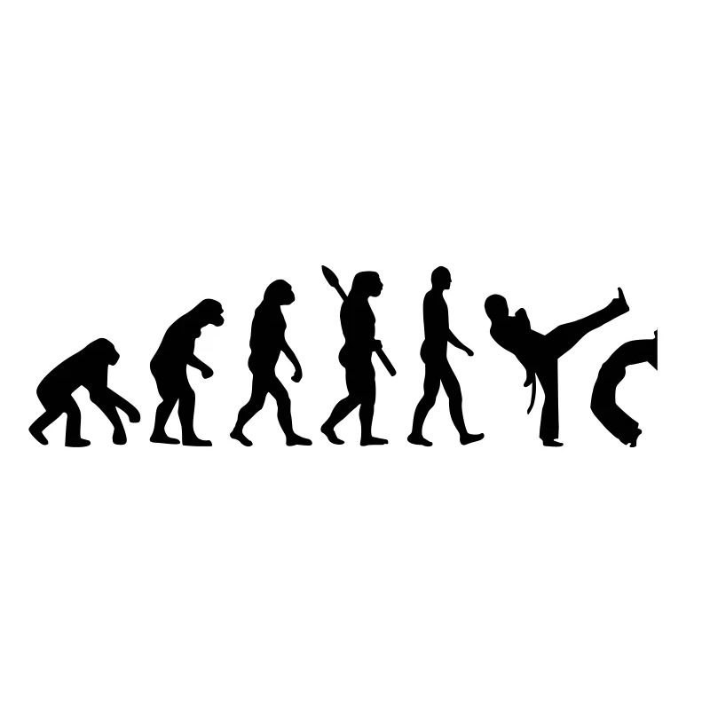 Evolution Capoeira