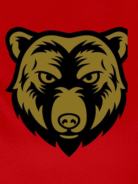 bear face 2