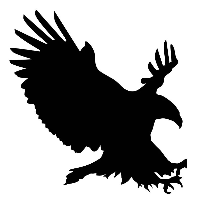 Eagle in flight