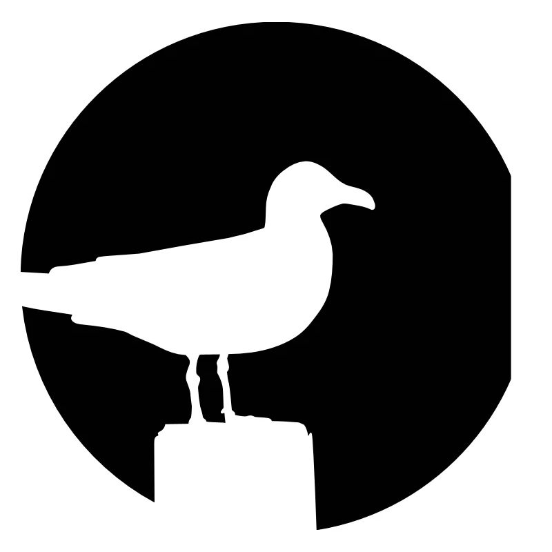 Seagull