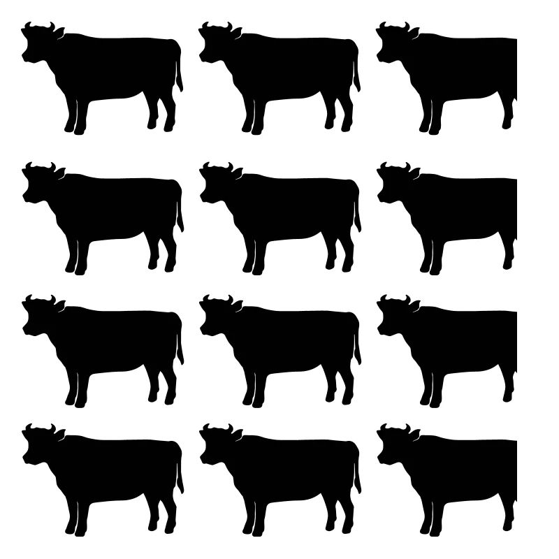 Vache