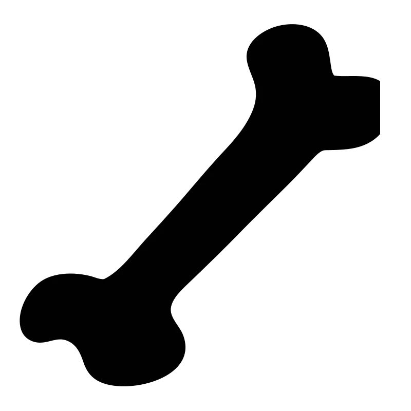 Bone - Bone