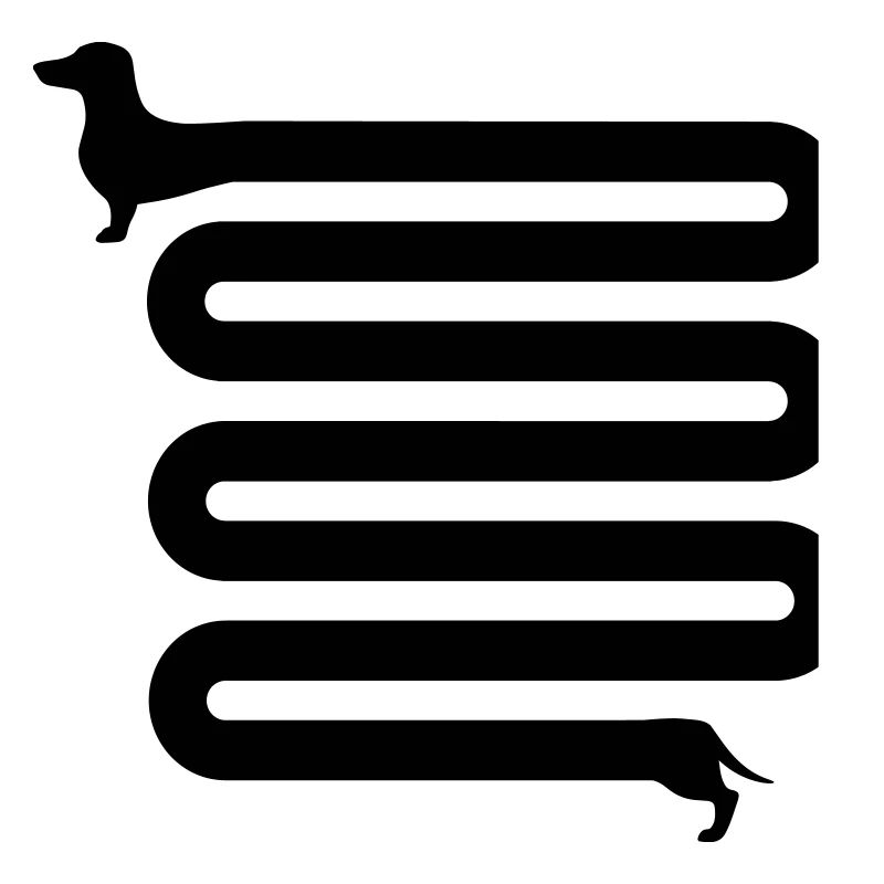 dachshund
