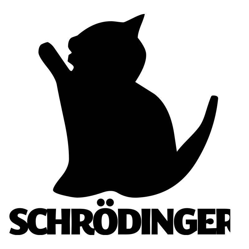 Chat de Schrödinger