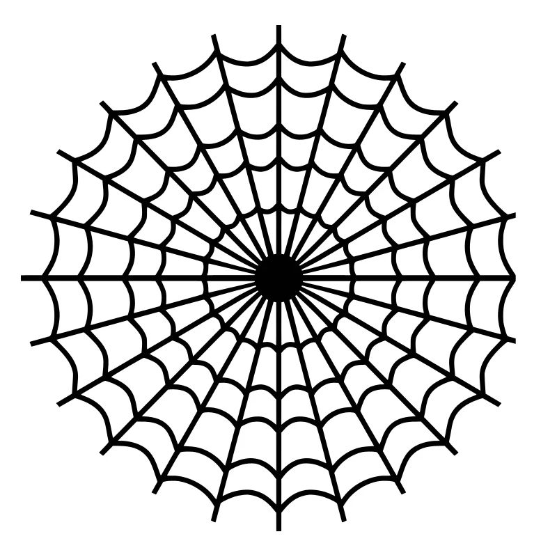 Spinne