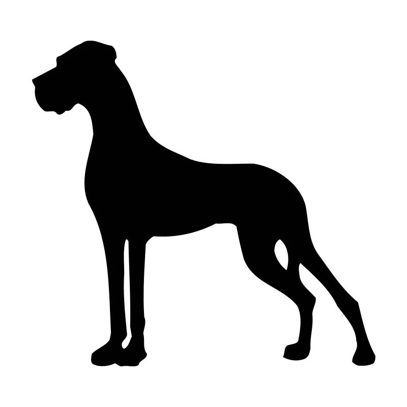 Smallest Great Dane in the state