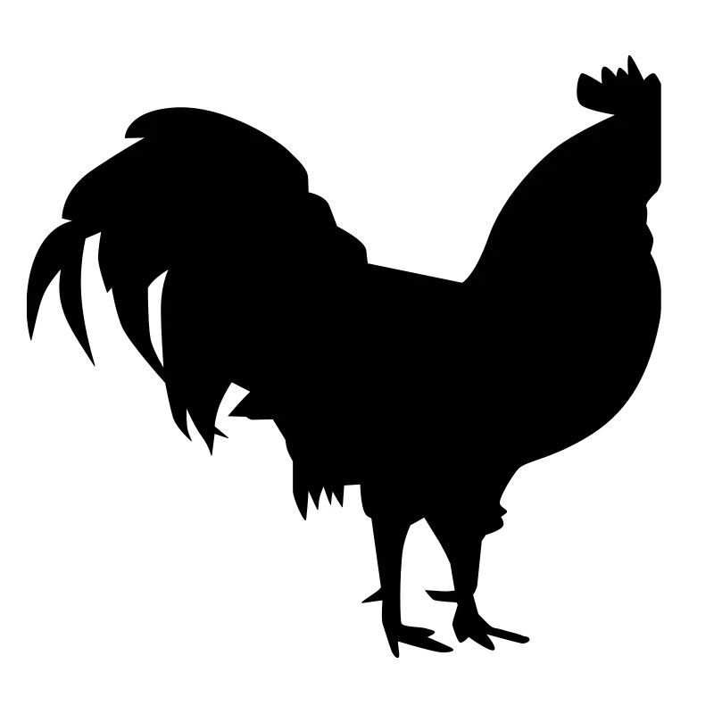 Rooster