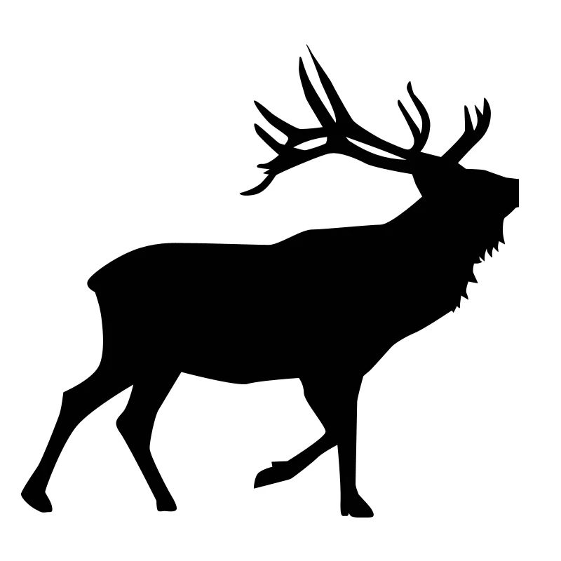 Cerf