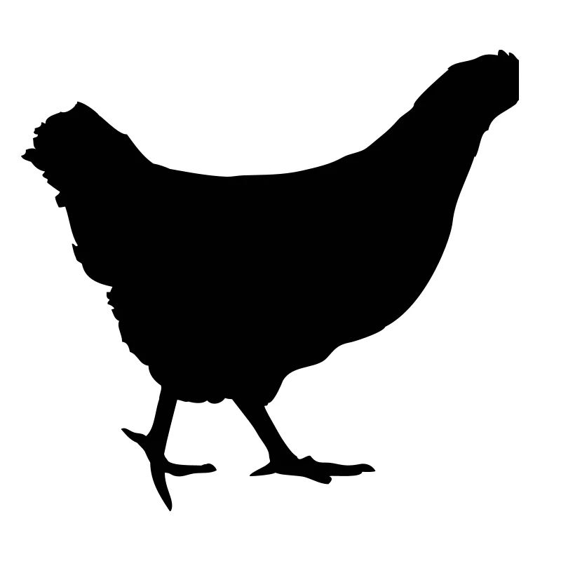 En cours d'exécution poule poulet