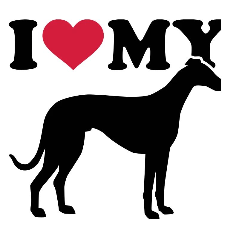 Whippet
