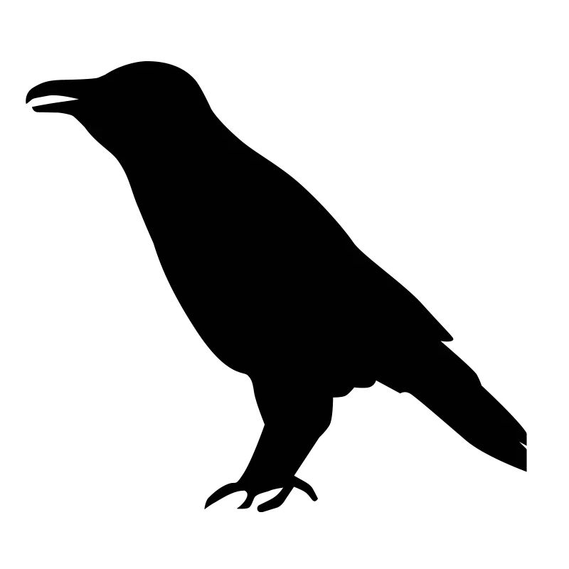Krähe