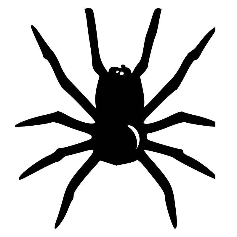 Spinne