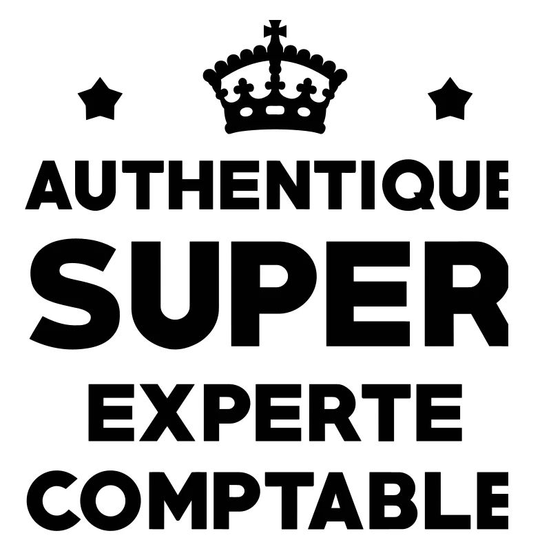 Expert Comptable / Comptabilité / Comptable /