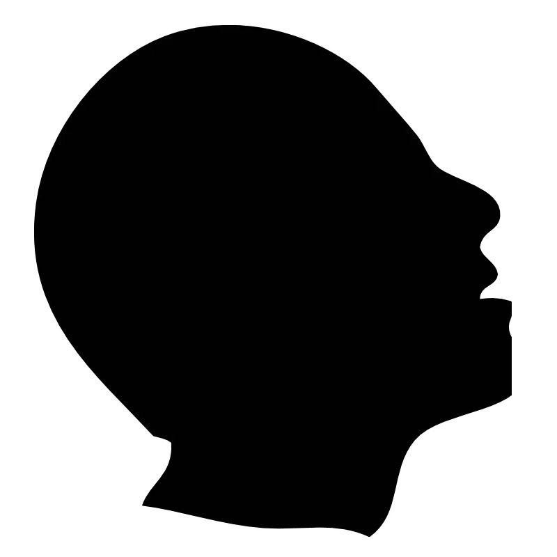 head profile head profile1