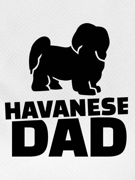 Havanese Dad