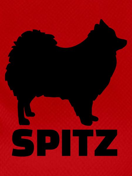 Spitz