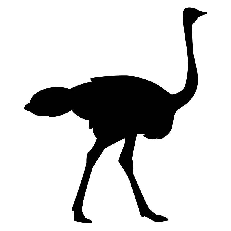 Ostrich